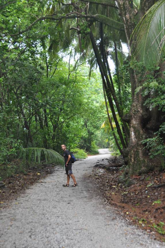 Caminhando na Île Royale, a principal das Îles de Salut, na costa próxima à Kourou, na Guiana Francesa